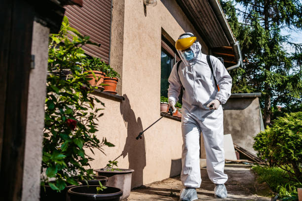 Best Affordable Pest Control Services  in Red Oak, NC