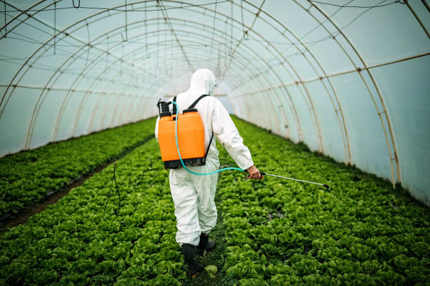 Best Residential Pest Control  in Red Oak, NC