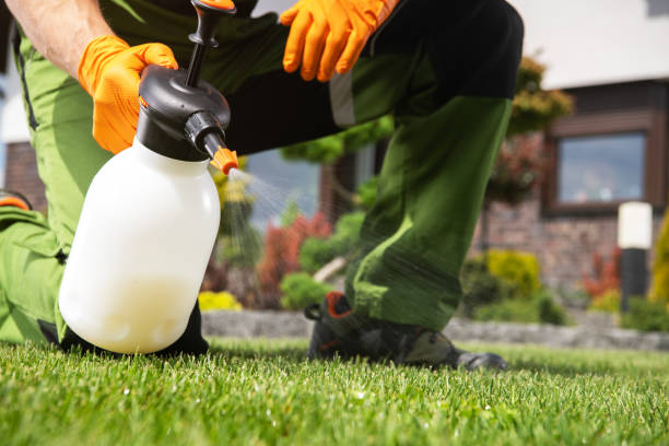 Flea Control Services in Red Oak, NC