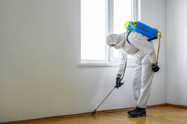 Best Affordable Pest Control Services  in Red Oak, NC