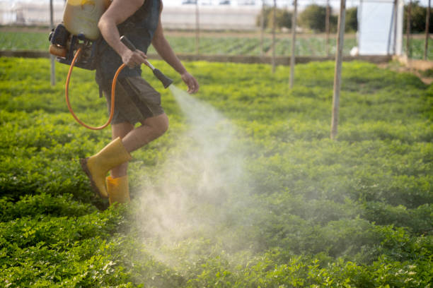 Pest Control Cost in Red Oak, NC