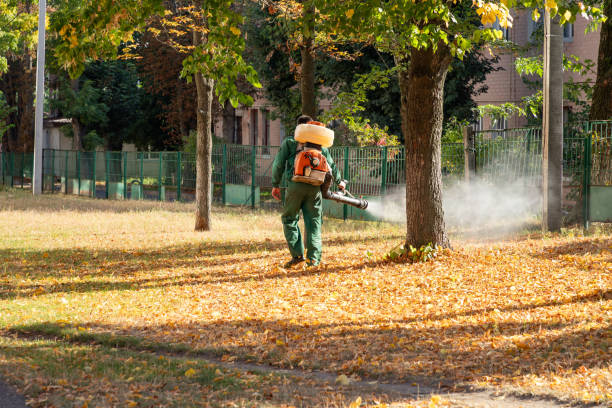 Best Bird Control  in Red Oak, NC