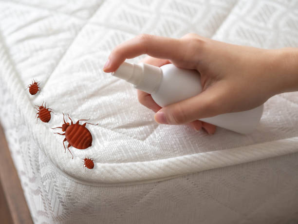 Best Best Pest Control Companies  in Red Oak, NC