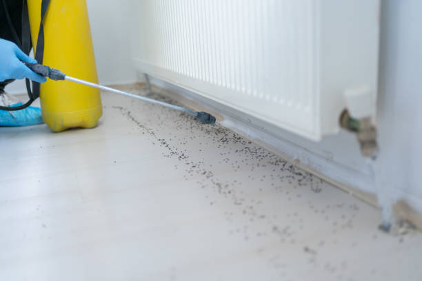 Best Pest Control Near Me  in Red Oak, NC