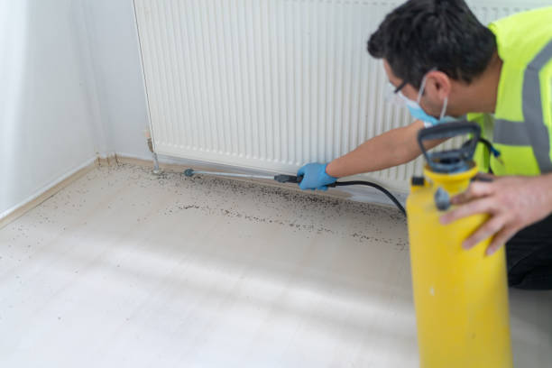 Best Local Pest Control Services  in Red Oak, NC