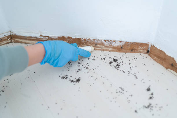 Best Cockroach Control Services  in Red Oak, NC