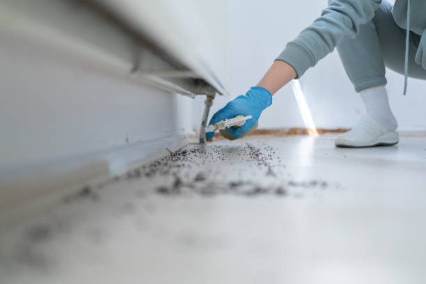 Best Bed Bug Extermination  in Red Oak, NC